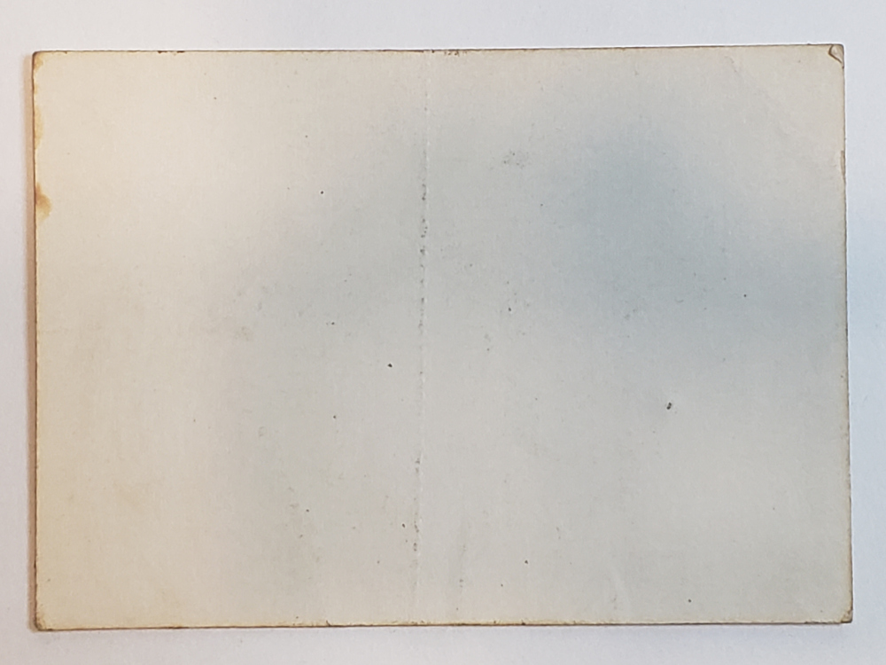 Han Solo Sticker Back