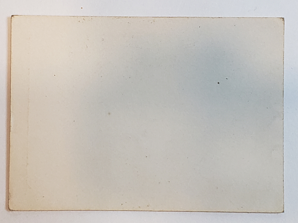 Princess Leia Sticker Back